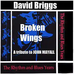 Picture for song '11. Broken Wings' by artist 'Major Snagg'