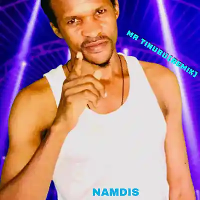 Picture for song 'mr tinubu remix' by artist 'namdis'