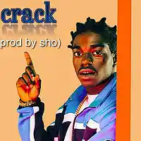 Picture for song 'Crack (Buy 1 Get 1 FREE) ' by artist 'Produced By Sho'