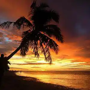 Picture for song 'Paradise' by artist 'Prod.RandyKaey'