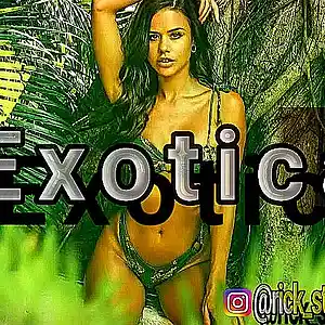 Picture for song 'wisin type beat - Exotica' by artist 'Rick style beatz'