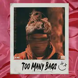 Picture for song 'Too Many Bags' by artist 'True North Beats'