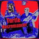 Picture for song 'Sun's Still Shinin'' by artist 'Turtle Necromancer'