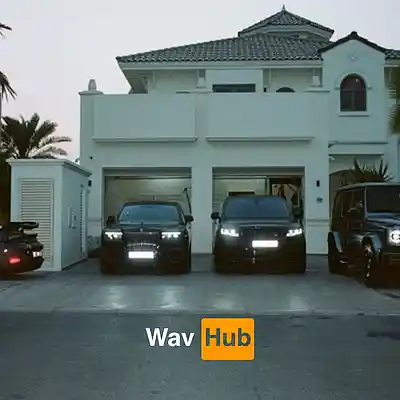 Picture for song 'Hidden Hills (Loe Shimmy x Veeze Type Beat)' by artist 'Wav Hub'