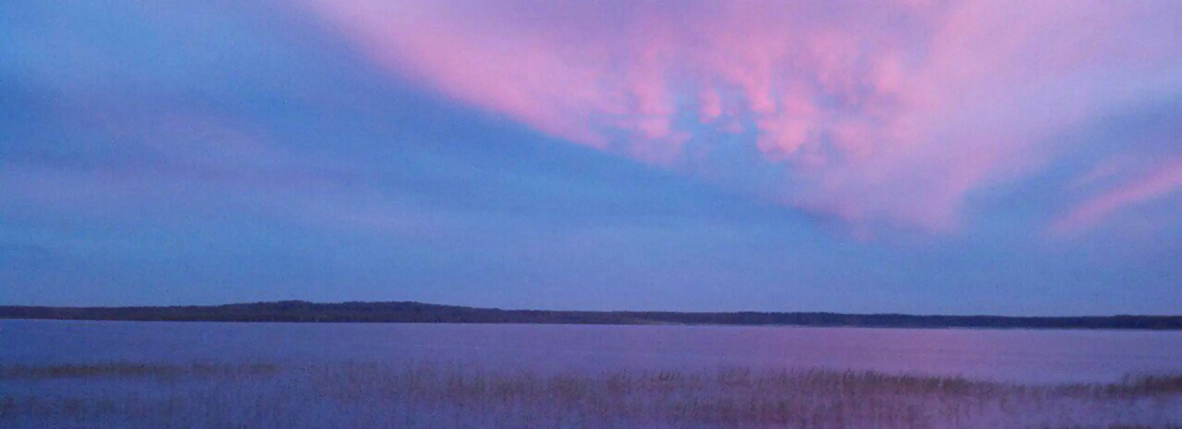 cover pic