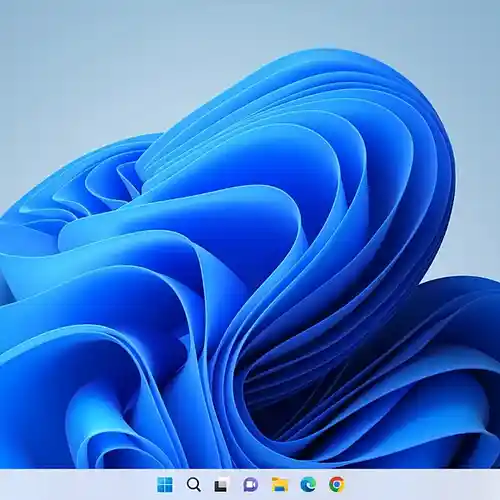 cover pic