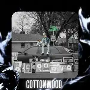 Picture for song '"Cottonwood" NLE Choppa & Lil Baby Type Beat' by artist 'D V 1 R V E R S BEATS'