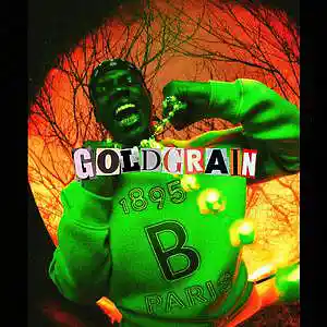 Picture for song 'PREDATOR - Nardo Wick Type Beat - 128bpm Bphrygian' by artist 'Goldgrain'
