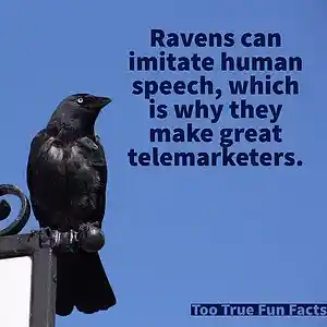 Picture for song 'WAYFARING MAN ON THE SEA (Pre-David)' by artist 'JESUS OLDMAN'