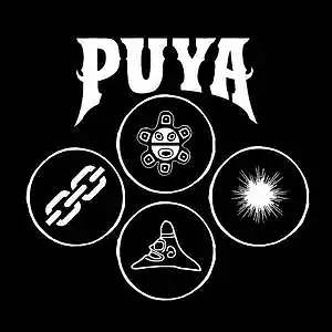 Picture for song 'Puya' by artist 'MOLODOi'