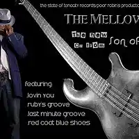 Picture for song 'RUBY'S GROOVE' by artist 'SON OF PEARL'