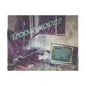 Picture for song 'FLOOR MODEL' by artist 'Z-L VYBEZ'