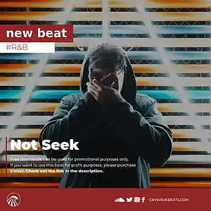 Picture for song '«Not Seek» (Dark New School Type Beat)' by artist 'CRYWAVE.'
