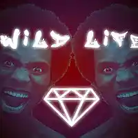 Picture for song 'Wild Life' by artist 'FLWLSS Music'