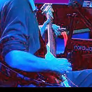 Picture for song 'Radiogram' by artist 'Garth Jones'