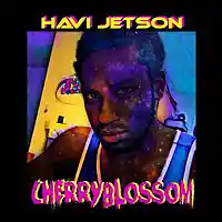 Picture for song 'CherryBlossom' by artist 'Havi Jetson'