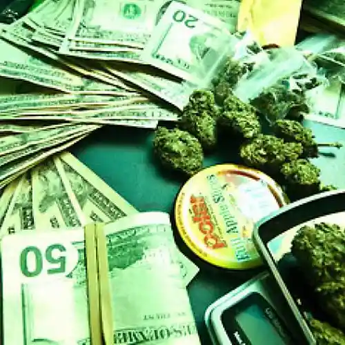 Picture for song 'triumph' by artist 'Money beat'