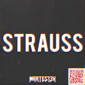 Picture for song 'Strauss 144 Bpm' by artist 'Martes13x'