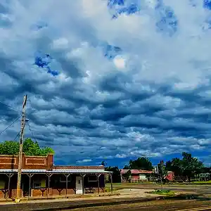 Picture for song 'Buddyville East: Babbling And Dabbling' by artist 'paul gorman and the hypnotist collectors'