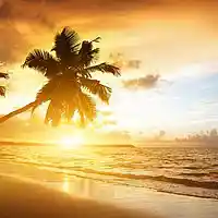 Picture for song 'Sunrise' by artist 'ProdBySticks'