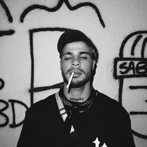 Artist picture