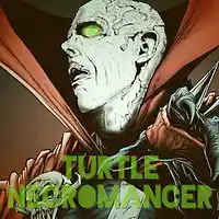 Picture for song 'Spiggidy' by artist 'Turtle Necromancer'