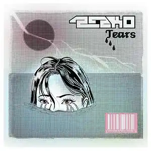 Picture for song 'Tears (BUY 2 GET 1 FREE)' by artist 'Zezko'