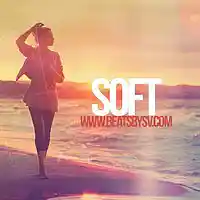 Picture for song 'Soft - RNB' by artist 'BeatsbySV'