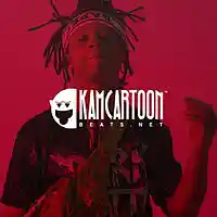 Picture for song 'Used to Love me ' by artist 'KamCartoon'