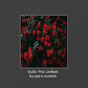 Picture for song '"Soulful" - Neo Soul - Hip Hop Boom Bap (Prod. Lio' by artist 'Prod.LionBeats'