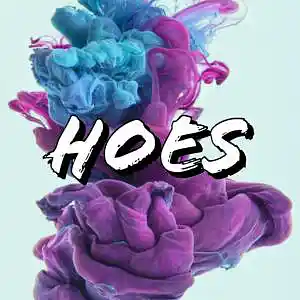 Picture for song 'HOES - BUY 1 GET 1 FREE - FUTURE DS2 TYPE BEATS' by artist 'PINK MOLLY BEATZ'