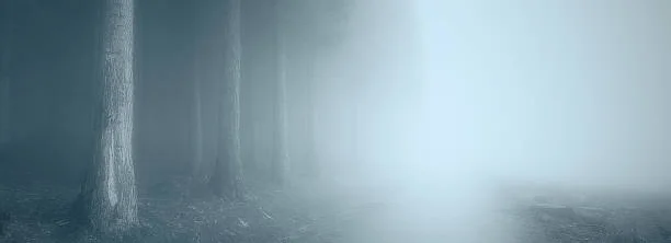 cover pic