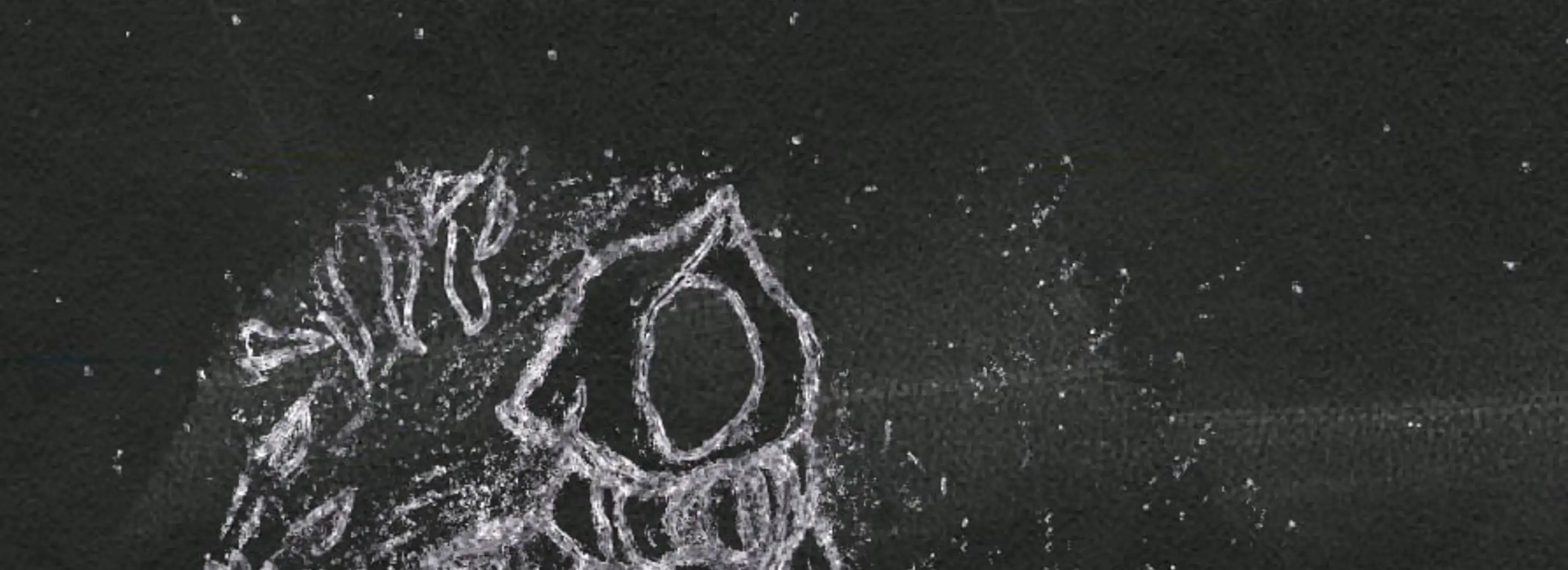 cover pic