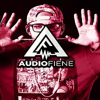 Picture for song 'Let Me Go' by artist 'Audio Fiene'