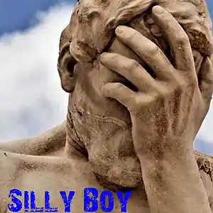 Picture for song 'SILLY BOY' by artist 'Bloonoise'