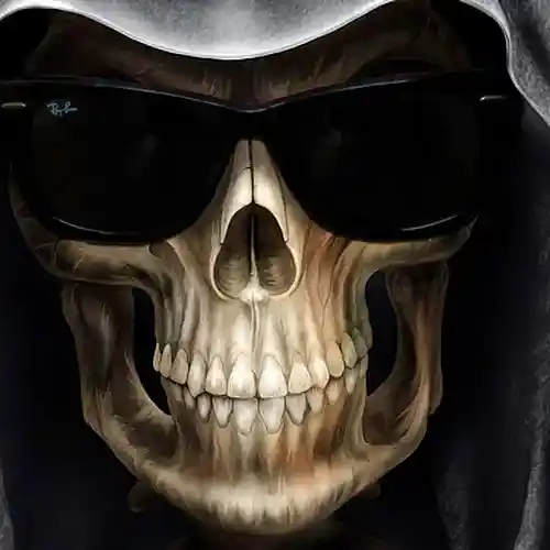 cover pic