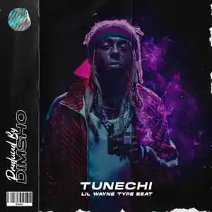 Picture for song 'Tunechi' by artist 'Dimsho Beats'