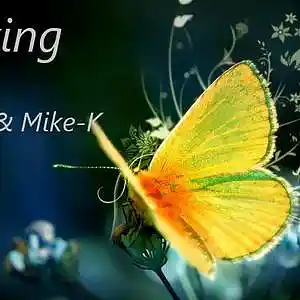Picture for song 'Amazing' by artist 'Mike-K'
