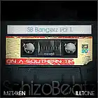 Picture for song 'Enemy at the Gatez' by artist 'schizobeatz'