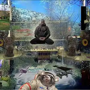 Picture for song 'Trials And Tribulations' by artist 'SONZOO'