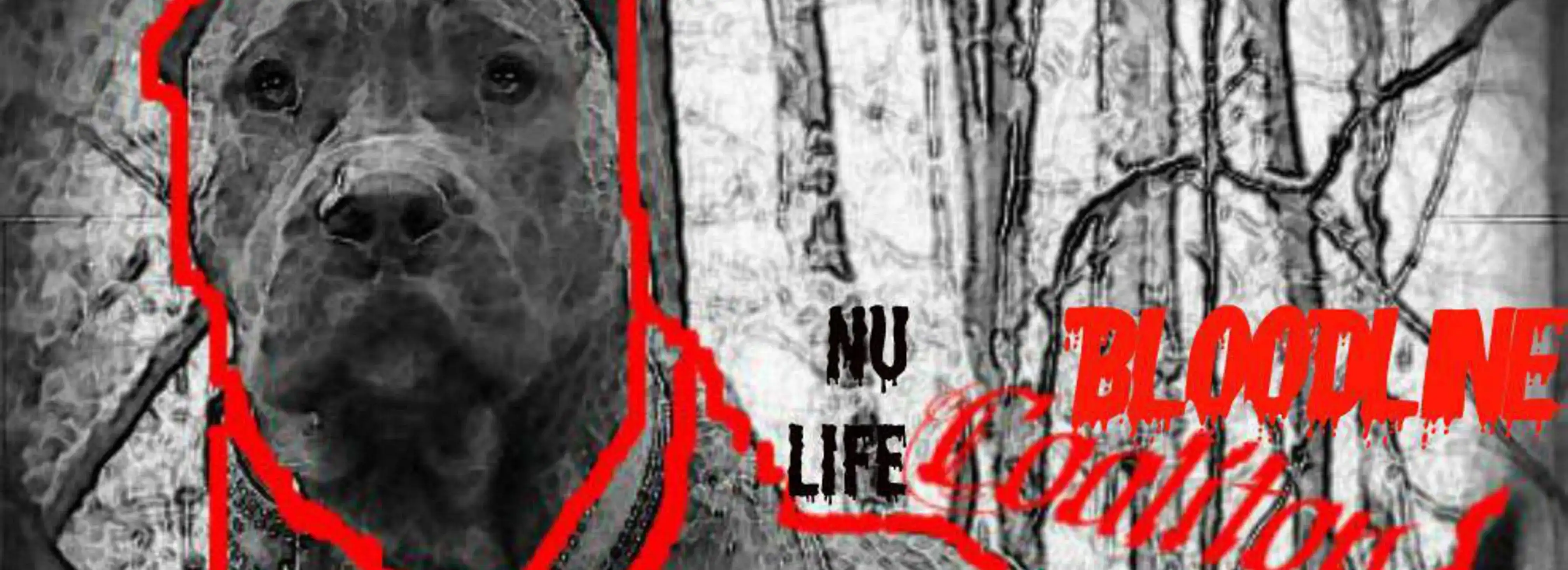 cover pic