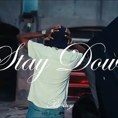 Picture for song 'STAY DOWN (Buy 2 Get 1 Free)' by artist 'buzzy beats'