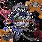 Picture for song 'Y U GOTTA?' by artist 'cronkite satellite'