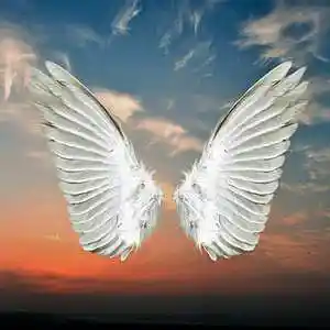 Picture for song 'Wings' by artist 'Gabriel 880'