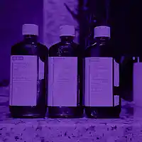 Picture for song '(NEW) No Cap ' by artist 'LEXI BANKS'