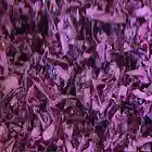 Picture for song 'Surówka' by artist 'Nada Pralnia'