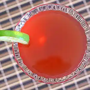 Picture for song 'Nantucket Punch: AT The Rio Blanco' by artist 'paul gorman and the hypnotist collectors'