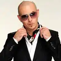 Picture for song '*PITBULL ISH* Hot N Rolling (Free DL)' by artist 'PLATINUM SELLERS BEATS'