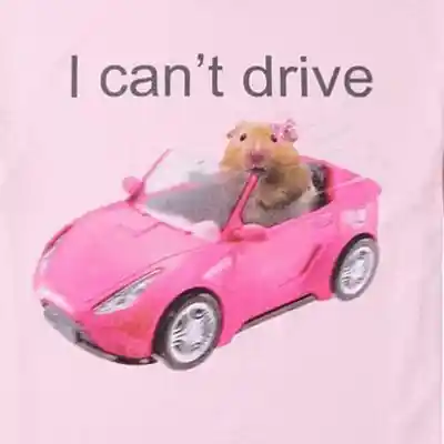 Song picture