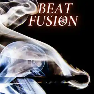 Picture for song 'Beat Fusion' by artist 'Seraj Ardakani'